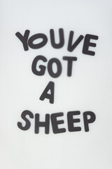 youve got a sheep