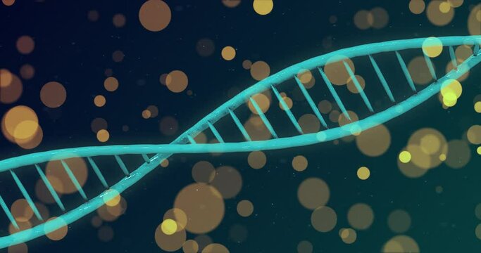 Animation of spots and shapes over dna strand