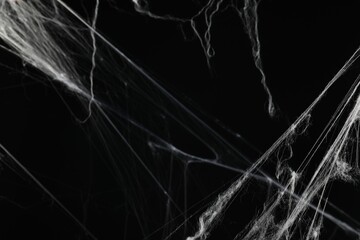 Creepy white cobweb on black background, closeup