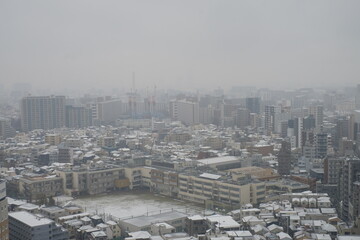 view of the city in winter, Tokyo, Japan
