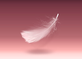 Obraz premium Fluffy bird feather falling on color background