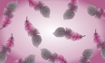 pink feathers background