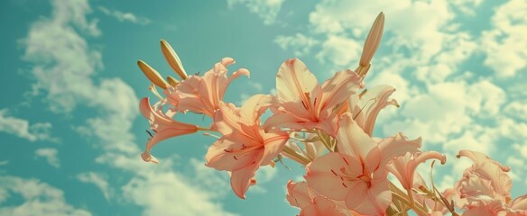 Perfect romantic pastel colored nature background for spring or summer Lily flowers