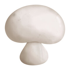 Champignon mushrooms