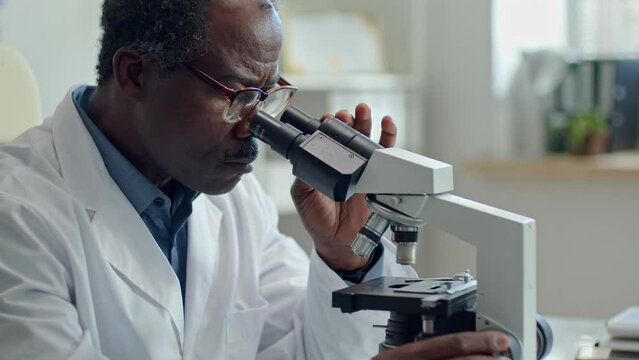 Mature Black scientist in lab coat looking at specimen under microscope during research in laboratory