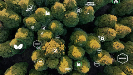 Save the planet earth day low CO2 emission. Aerial forest tree nature view with big data global...