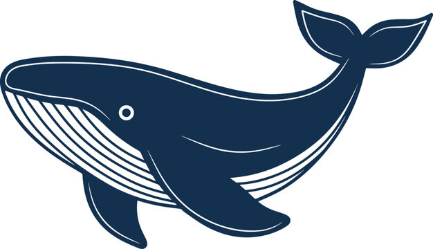 Big whale illustration