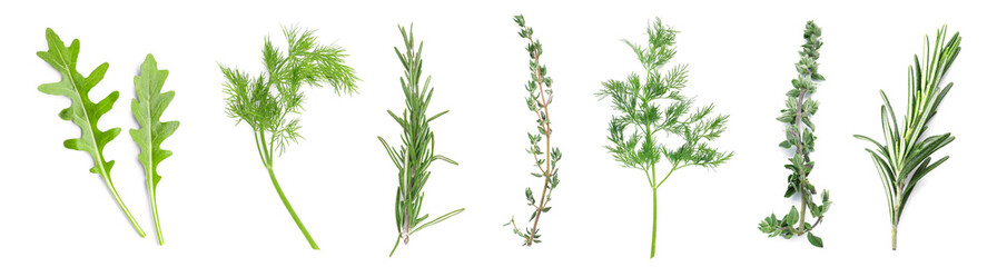 Collage of fresh herbs on white background, top view - obrazy, fototapety, plakaty