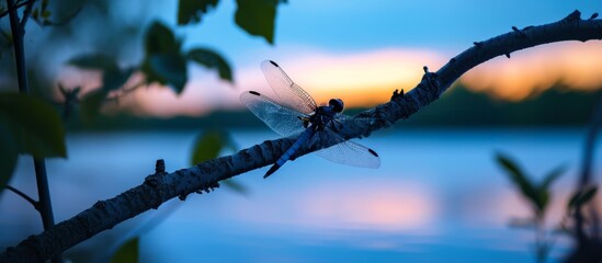 Majestic dragon perched on a branch overlooking a serene lake in the forest