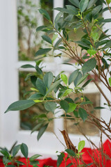 Interior inside of vintage coffee shop