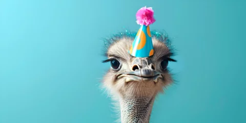 Foto op Canvas Ostrich head with blue background and birthday party hat Creative animal concept Curious ostrich stares at camera with hairy beak and feathered body ostrich in party cone hat. © abuhurarah