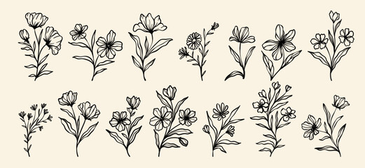 Plant illustration set, flowers and leaves clip art, hand drawn line art sketches, modern isolated doodle collection. Element design greeting cards and invitations of the wedding, birthday - obrazy, fototapety, plakaty