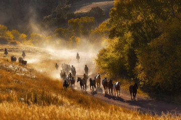 Cowgirls moving a herd of ranch horses on a  dirt road in a canyon