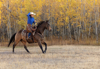 Cowgirl riding a horse galloping running western