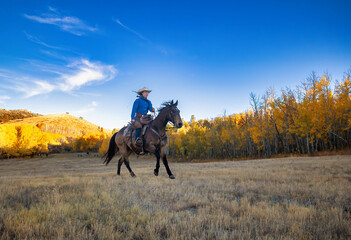Cowgirl riding a horse galloping running western