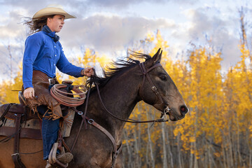 Cowgirl riding a horse galloping running western