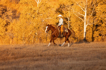 Cowgirl riding a horse galloping running western