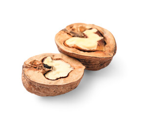 Natural walnut on white background