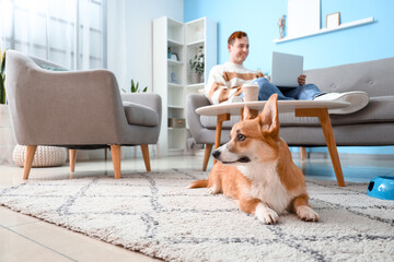 Redhead young happy man with cute Corgi dog and laptop at home