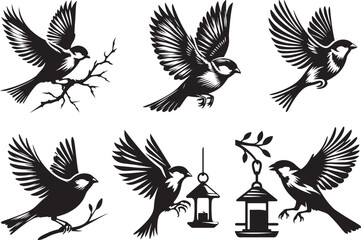 Obraz premium set of silhouettes of birds