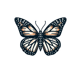 Monarch Butterfly Hand Drawn vector illustration