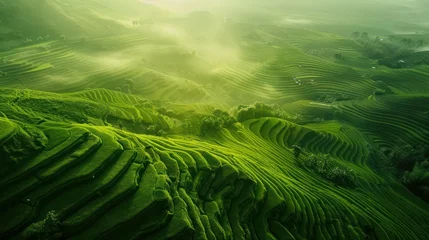Stof per meter aerial view of an asian green ricefield terraces, green ricefield top view © Koihime
