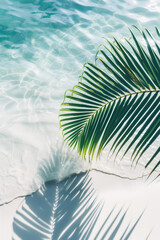 Fototapeta na wymiar Summer vacation background with tropical palm leaf shadow on white sand beach