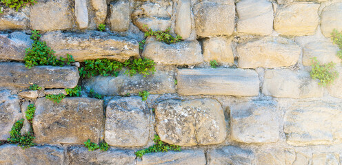 Stone wall with green vegetation in castle