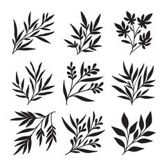 Naklejka premium Set of branch and leaves vector 