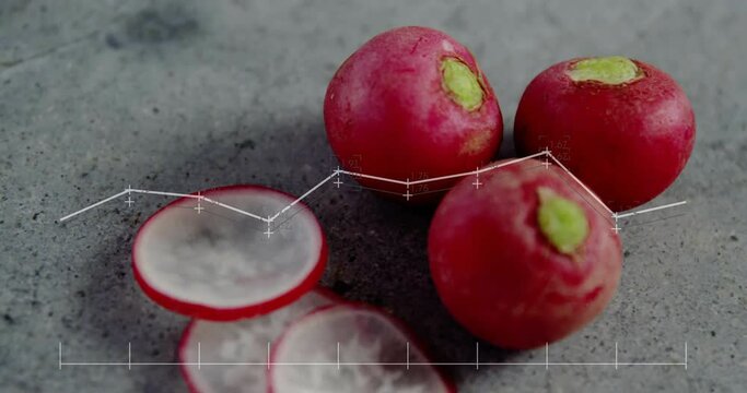 Animation of data processing on diagrams over cut radish