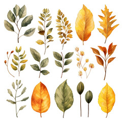 Obraz premium Assorted Botanical Illustrations for Designers