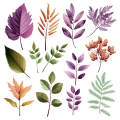 Assorted Botanical Leaf Illustrations for Decor