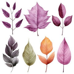 Colorful Leaf Illustrations for Creative Projects