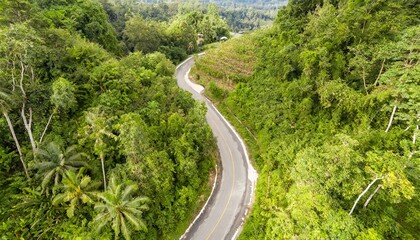 Fototapeta na wymiar 熱帯雨林の一本道