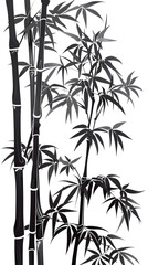 black bamboo vector on white background