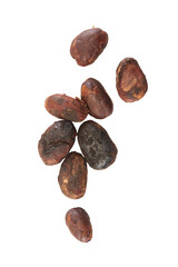 Unpeeled cocoa bean isolated on white background
