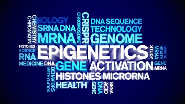 Epigenetics animated word cloud;text design animation tag kinetic typography seamless loop.