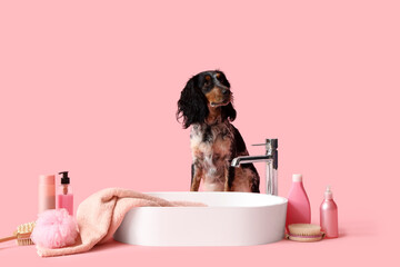 Cute cocker spaniel with sink and bath accessories on pink background