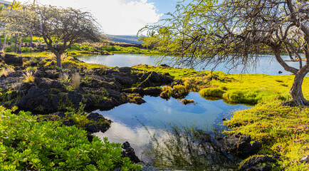 Anchialine Pond at The Waikoloa Beach, Waikoloa, Hawaii, USA