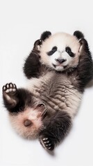 Mischievous Panda Cub, A playful baby panda cub rolling on its back with its paws in the air, background image, generative AI