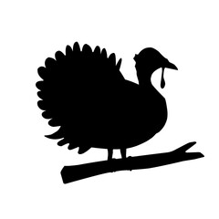 Turkey Bird Silhouette 