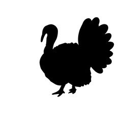 Turkey Bird Silhouette 