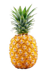 isolated healthy and fresh pineapple fruit
