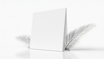 a blank canvas with  feathers on a surface, white background