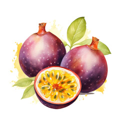 fruit - Amazing.Passion Fruit.,  Passion Fruit illustration watercolor