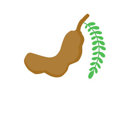 Tamarind Fruit With Green Leaves 