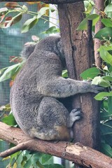 Port Douglas, Queensland, Australia