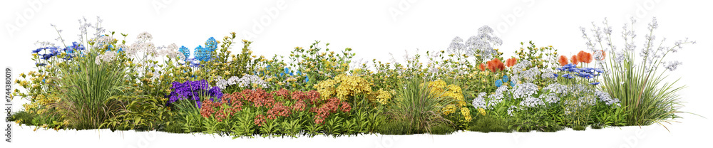 Poster evergreen flowers and grass field in nature, flowres on garden in springtime, tropical forest isolat