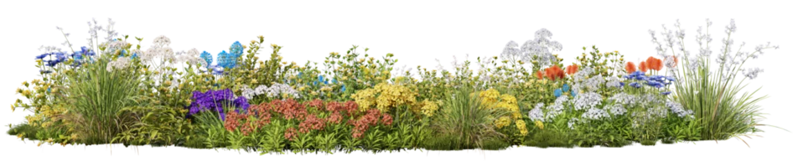 Foto op Aluminium Evergreen flowers and grass field in nature, Flowres on garden in springtime, Tropical forest isolated on transparent background - PNG file, 3D rendering illustration for create and design or etc © EcoSpace