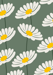 Daisy flower background.Eps 10 vector.